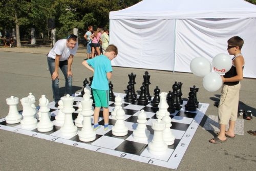 шахматы-шашки